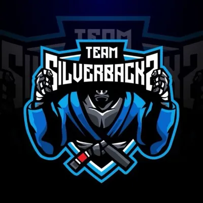 Team Silverbacks